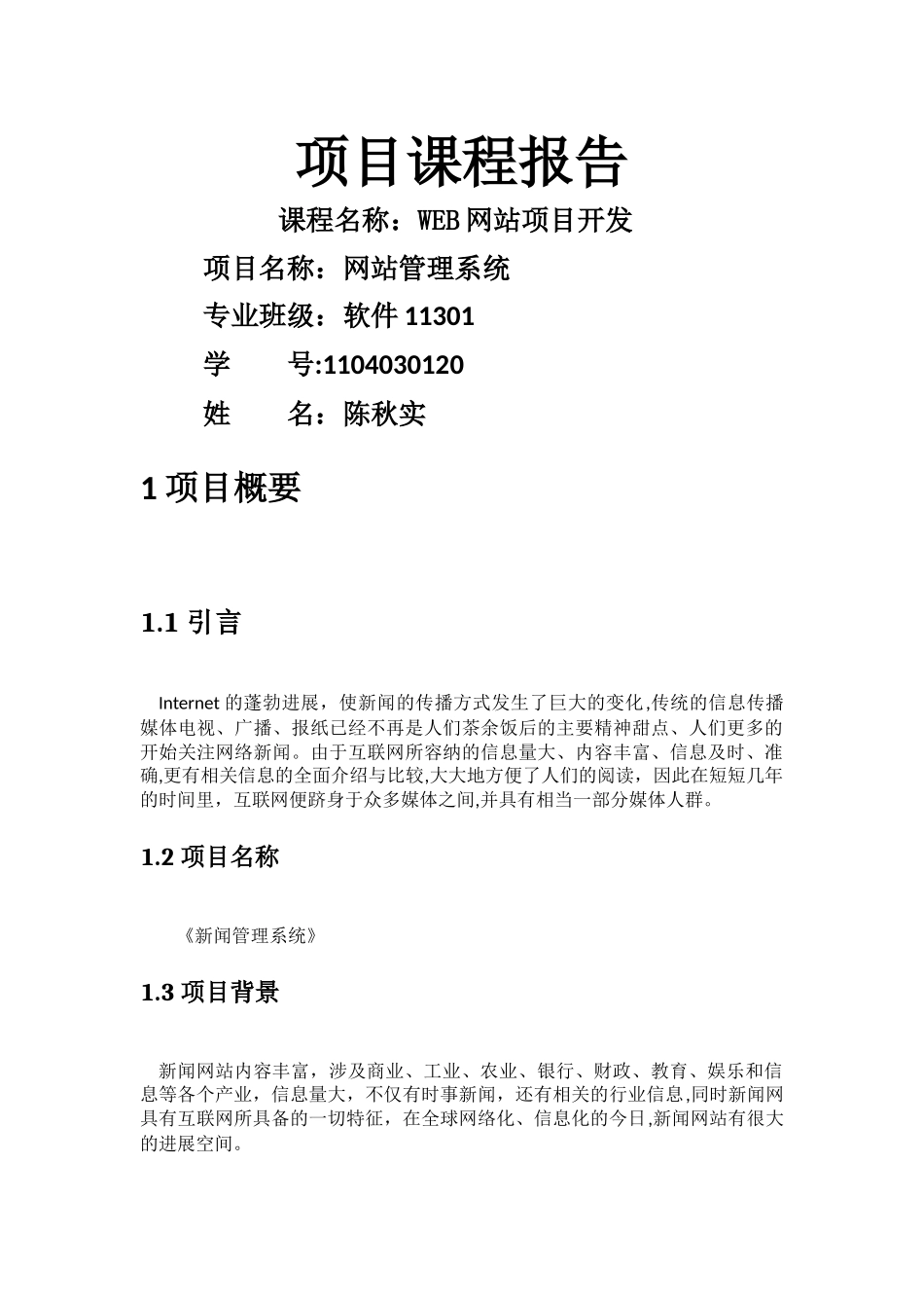 新闻管理系统项目报告_第1页