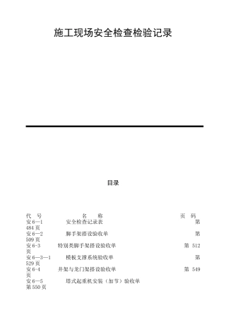 施工现场安全检查记录表