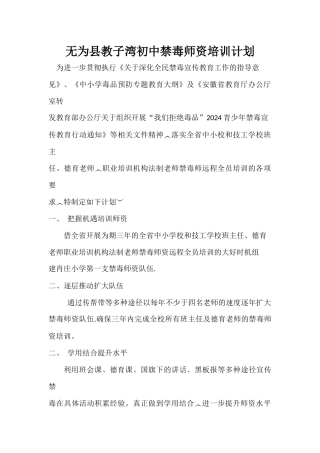 无为县教子湾初中禁毒师资培训计划