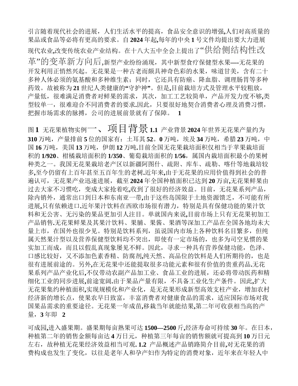 无花果项目商业计划书_第1页