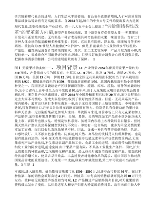 无花果项目商业计划书