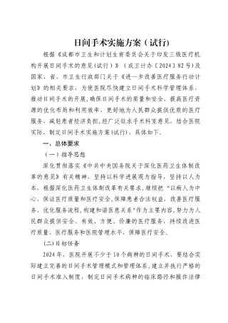 日间手术工作方案