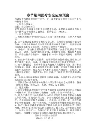 春节期间医疗安全应急预案