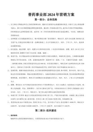 普药事业部2024年营销方案