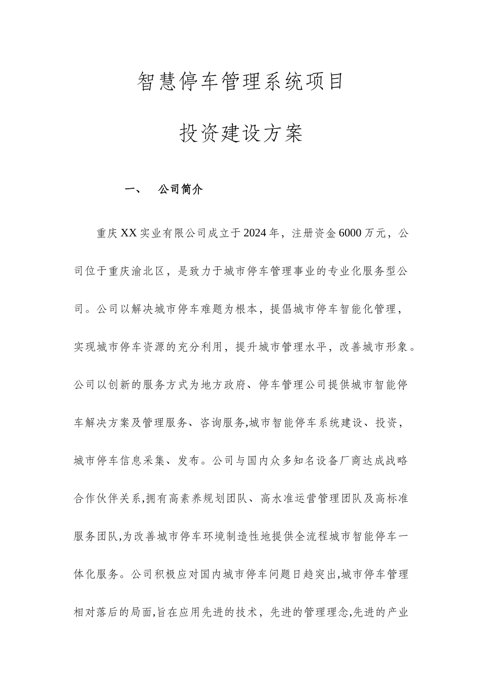 智慧停车管理系统项目投资建设方案_第3页