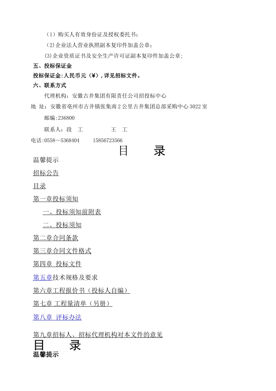 智能化工程招标文件_第3页