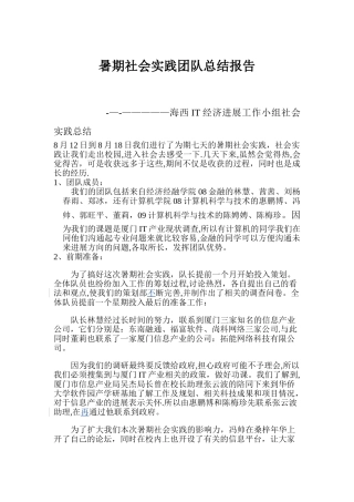 暑期社会实践团队总结报告