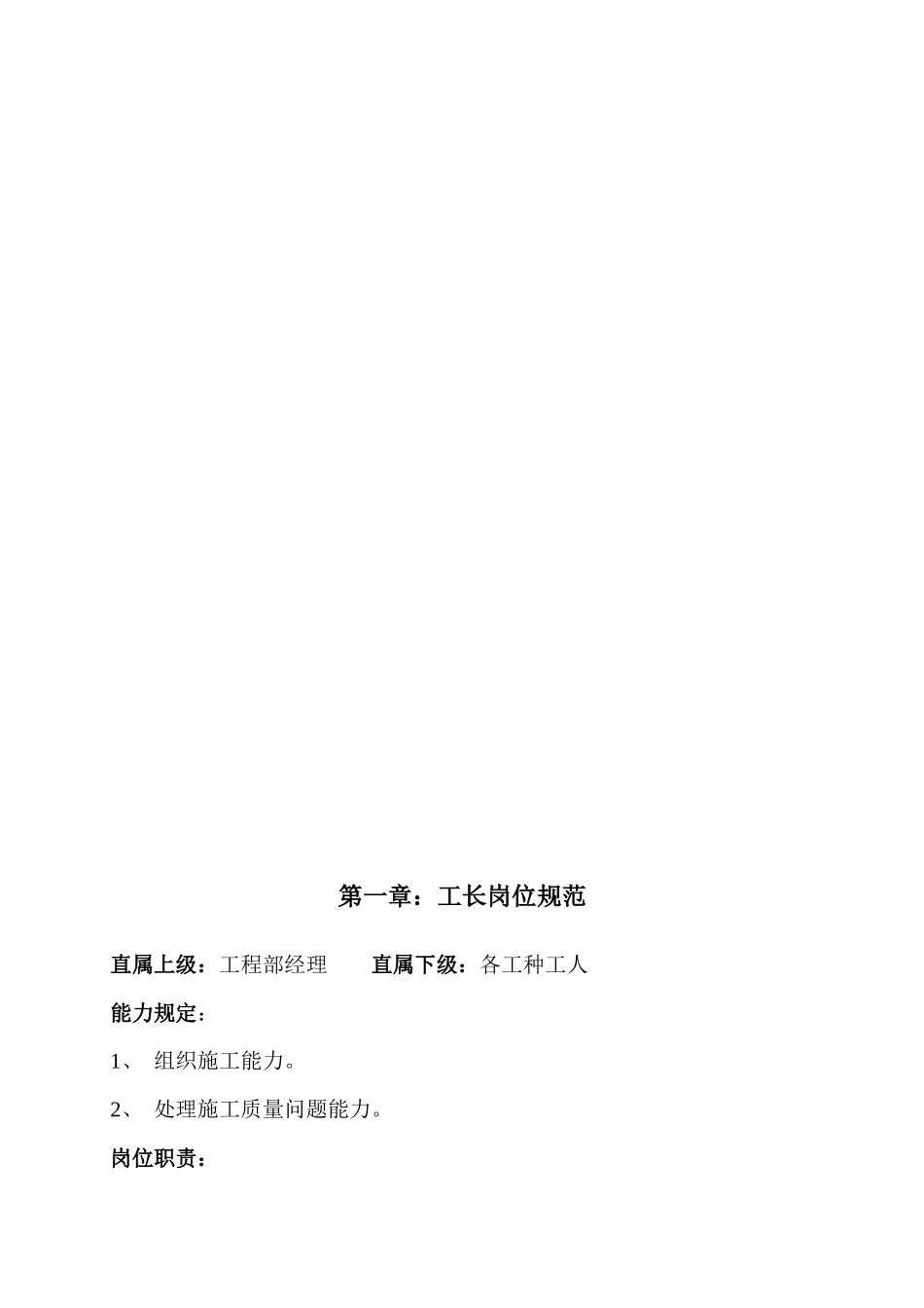 2025年项目经理工作手册_第2页