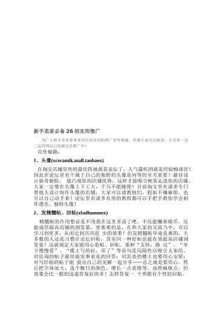 2025年试谈新手卖家招实用推广