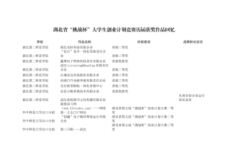 2025年湖北省挑战杯大学生创业计划竞赛历届获奖作品回顾