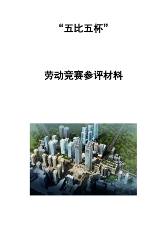 2025年闫沙坪坝项目部五比五杯劳动竞赛参评材料