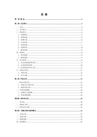 2025年电子商务竞赛 宠安网朱媛