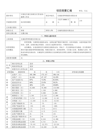2025年民生银行授信全套资料简要报告