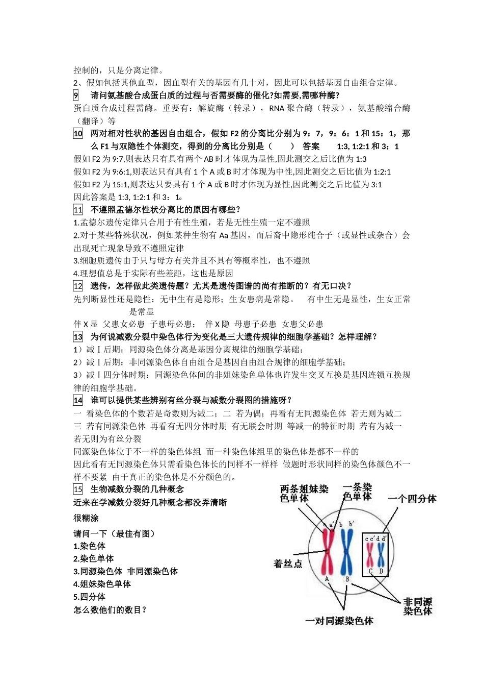 2025年高中生物遗传与进化易错知识点汇总学案_第2页