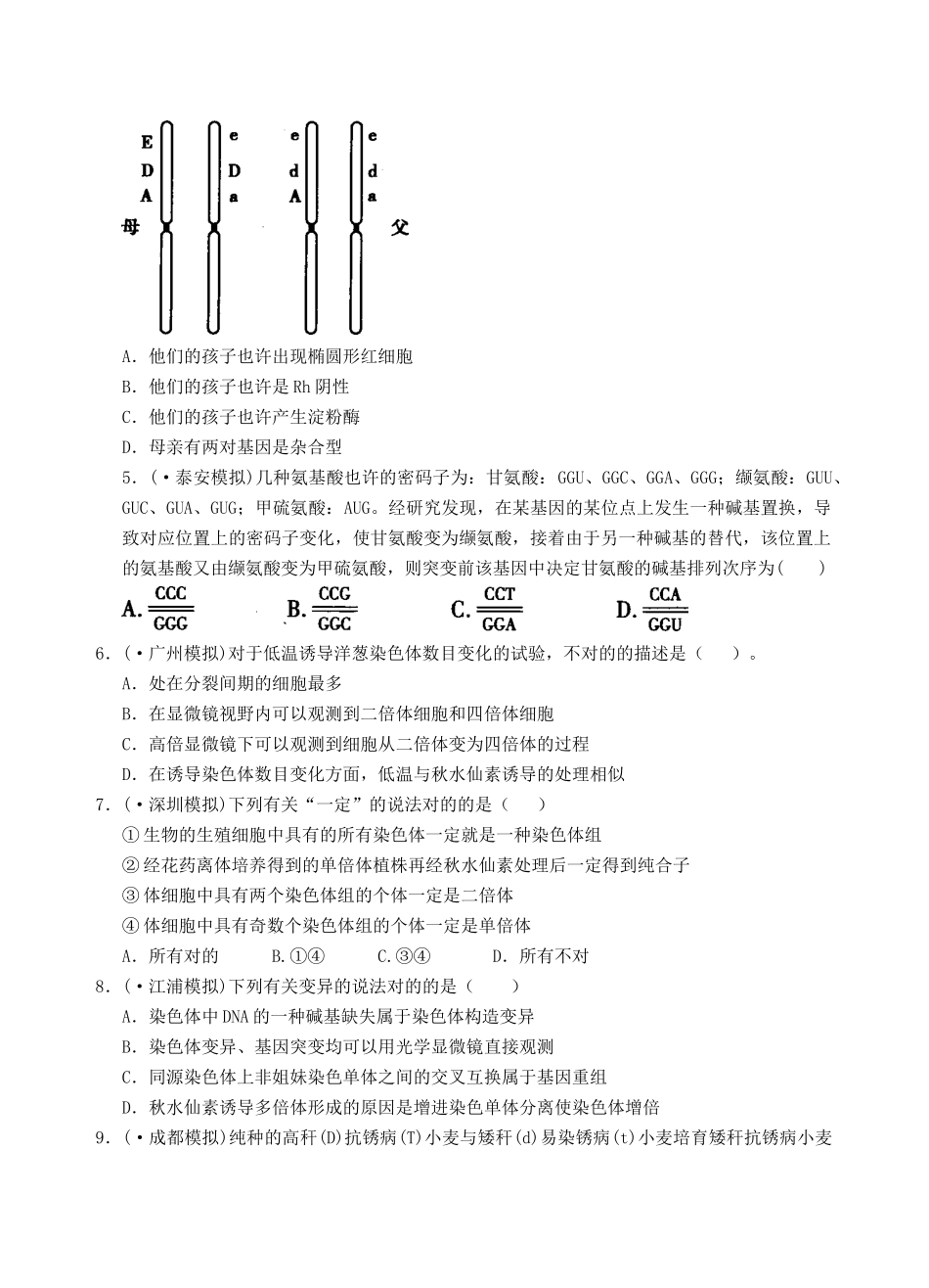 2025年考点10生物的变异及育种_第2页