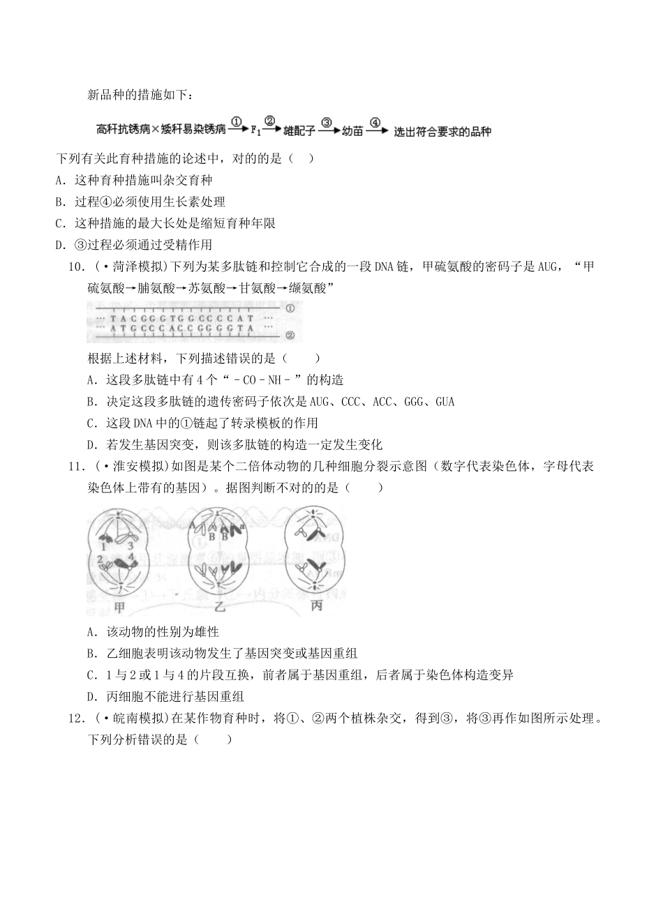 2025年考点10生物的变异及育种_第3页