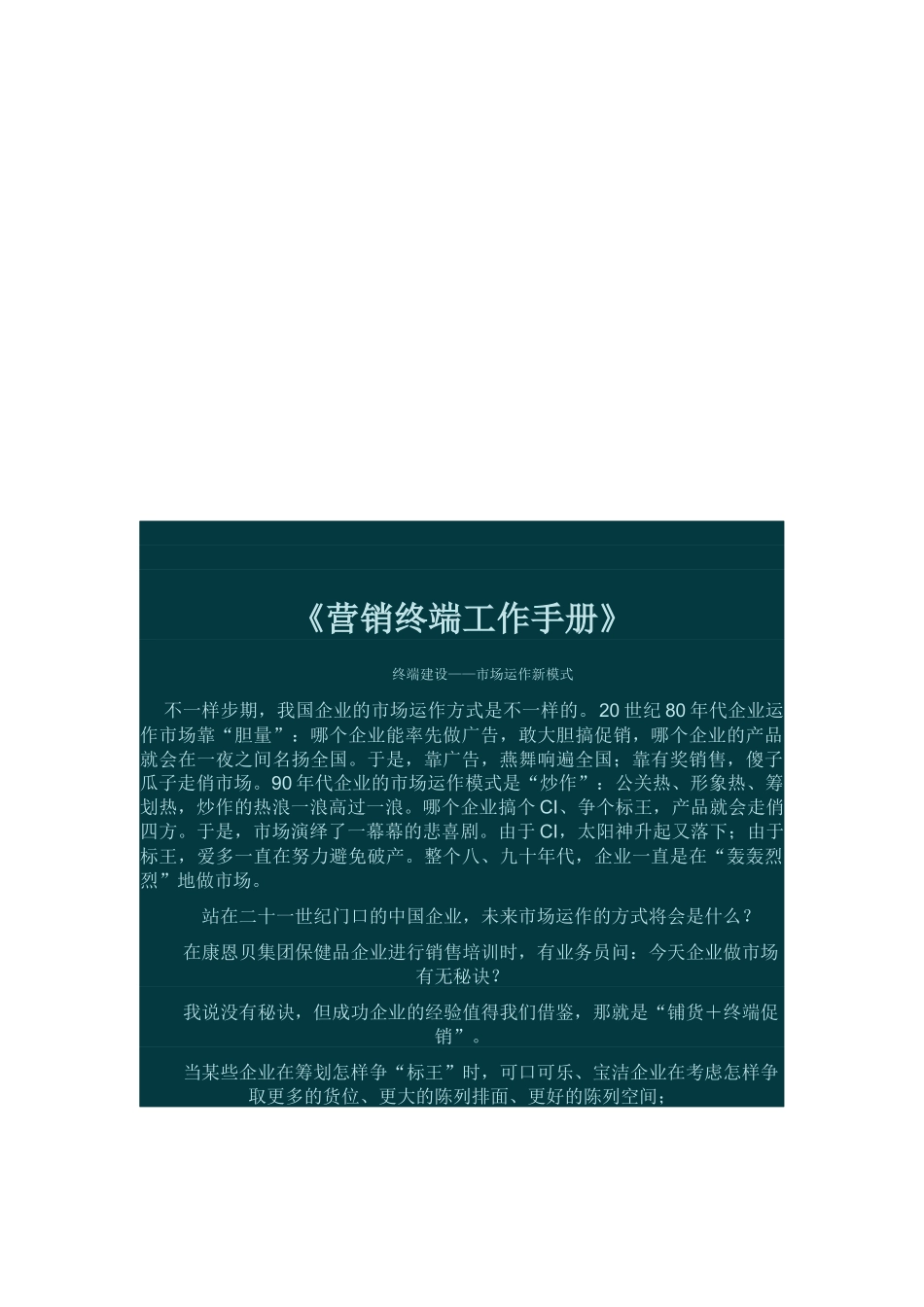 2025年营销终端工作手册_第1页