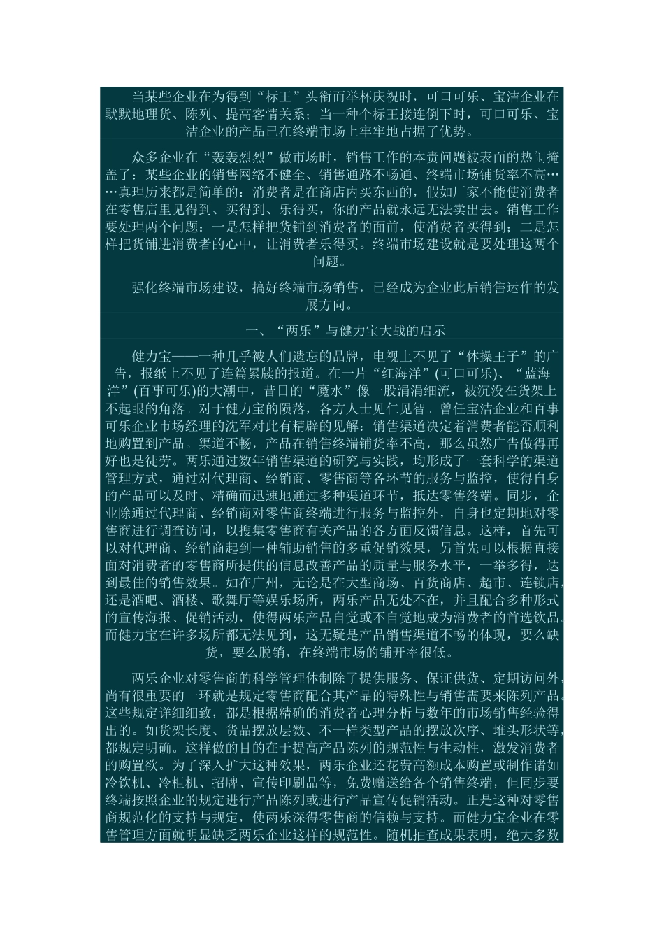 2025年营销终端工作手册_第2页