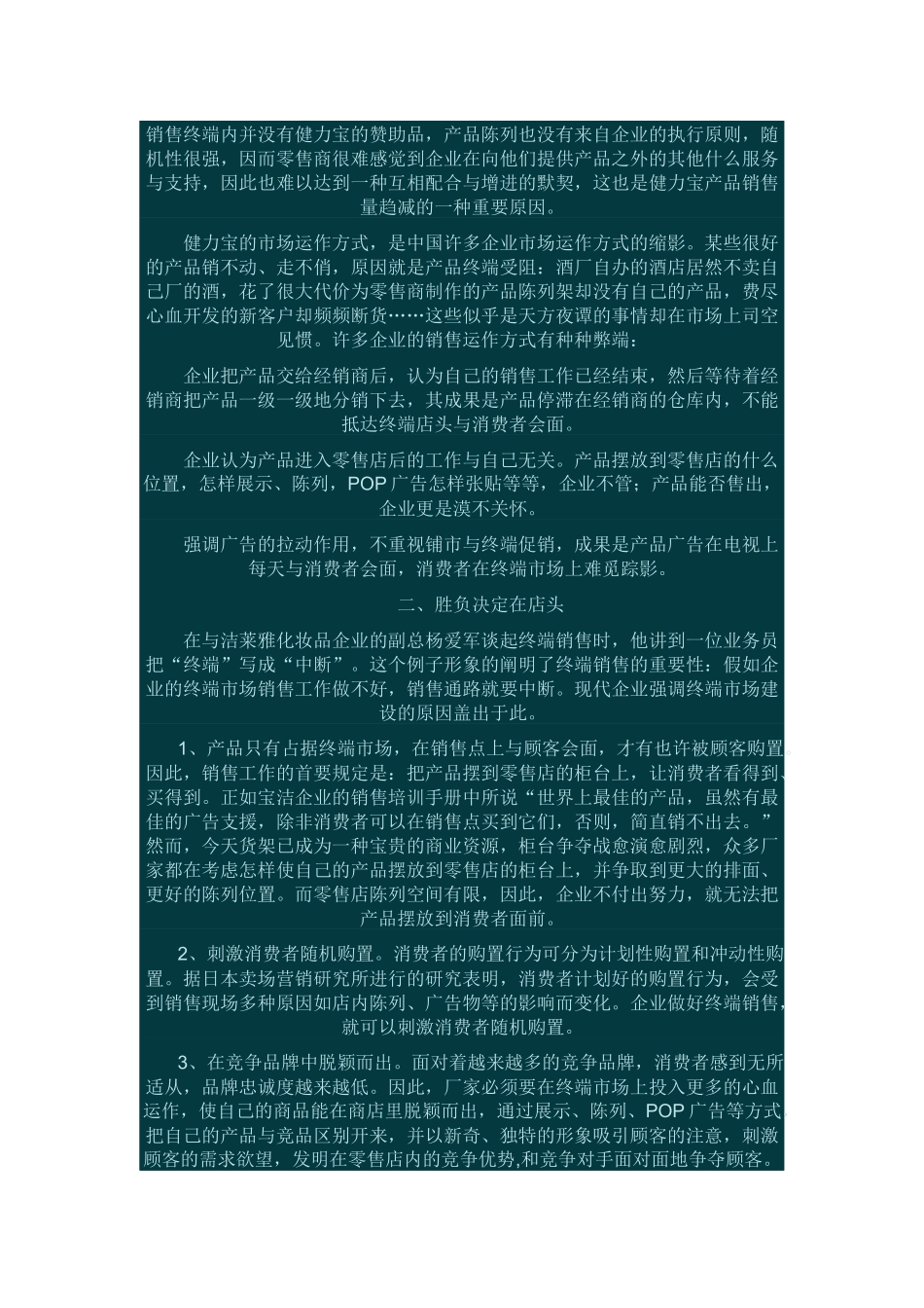 2025年营销终端工作手册_第3页