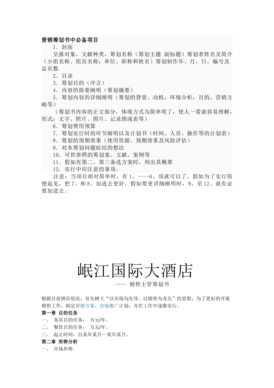 2025年营销策划书中项目_第1页
