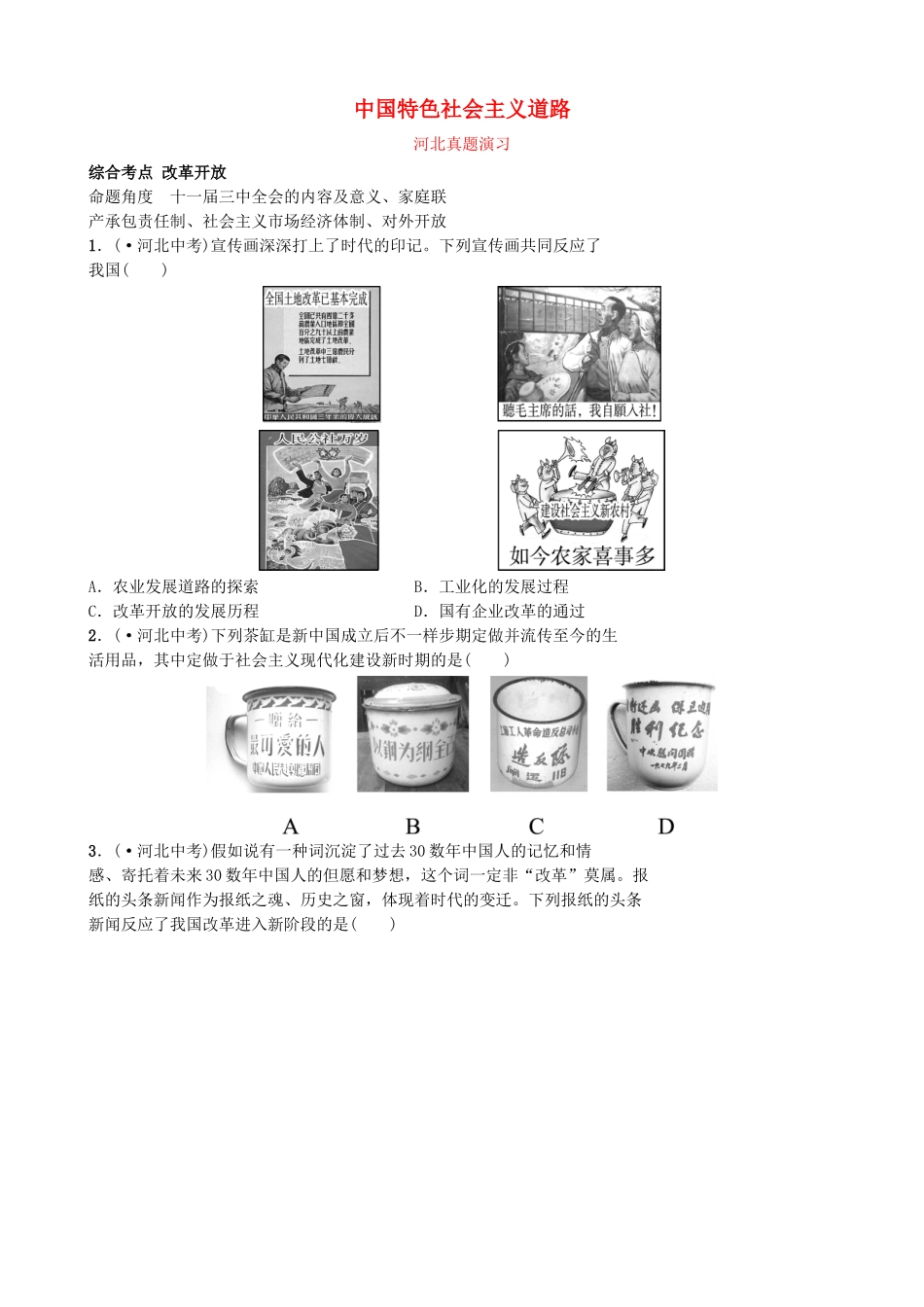 2025年河北省中考历史一轮复习中国现代史主题十中国特色社会主义道路真题演练新人教版_第1页