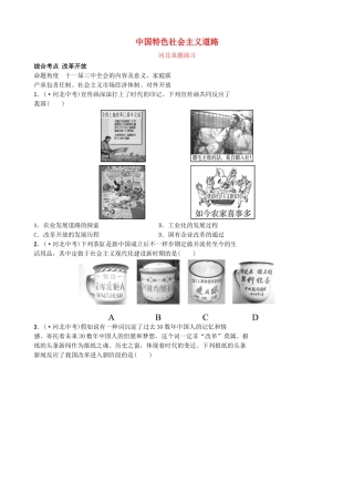 2025年河北省中考历史一轮复习中国现代史主题十中国特色社会主义道路真题演练新人教版