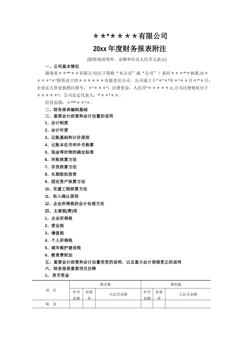 最详细的年度财务报表附注模板_第1页