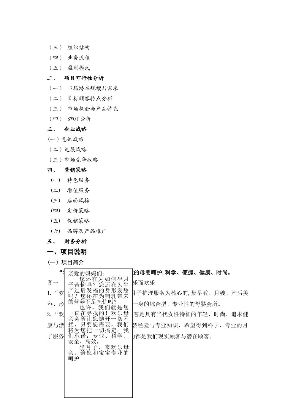 月子会所筹备商业模式及商业计划书_第2页