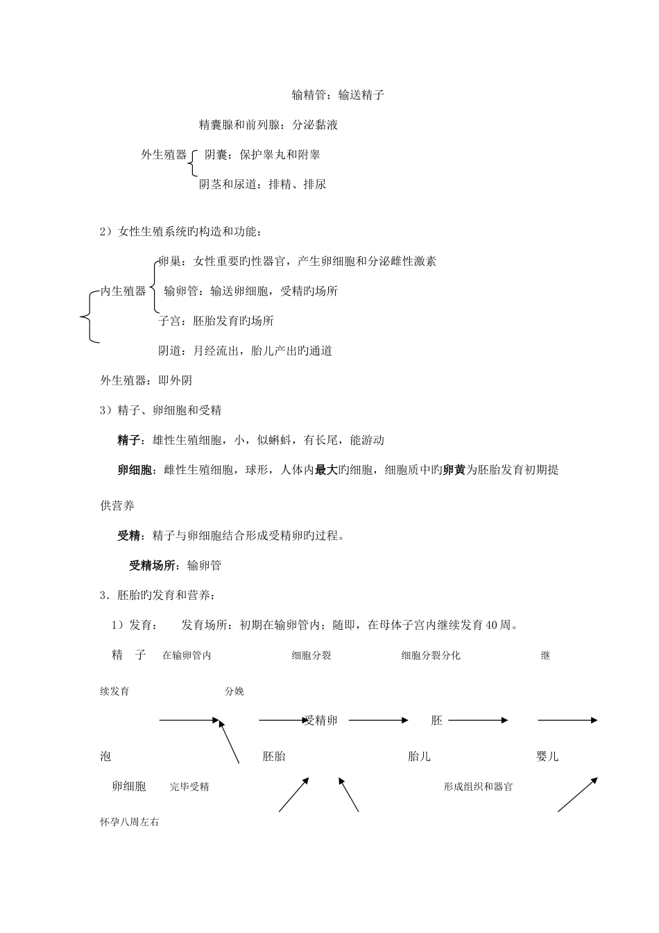 2025年人教版七年级下生物知识点总结_第2页