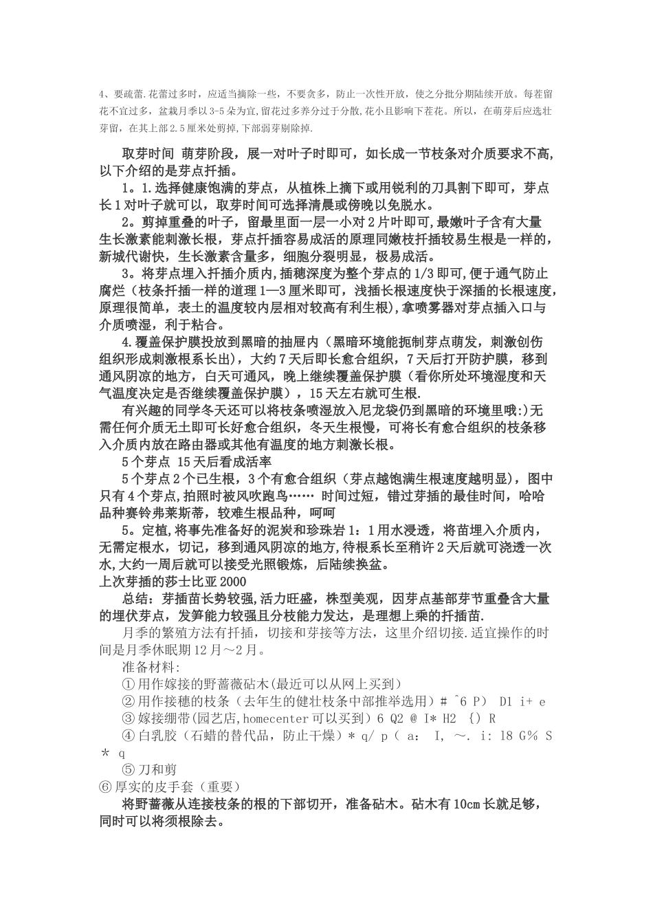 月季种植管理技术_第2页
