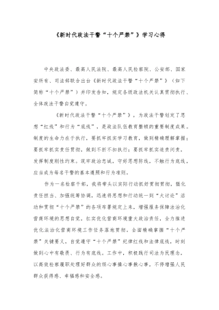 2025年《新时代政法干警十个严禁》学习心得