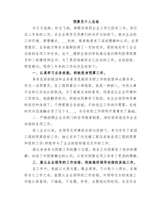 2025年预算员个人总结