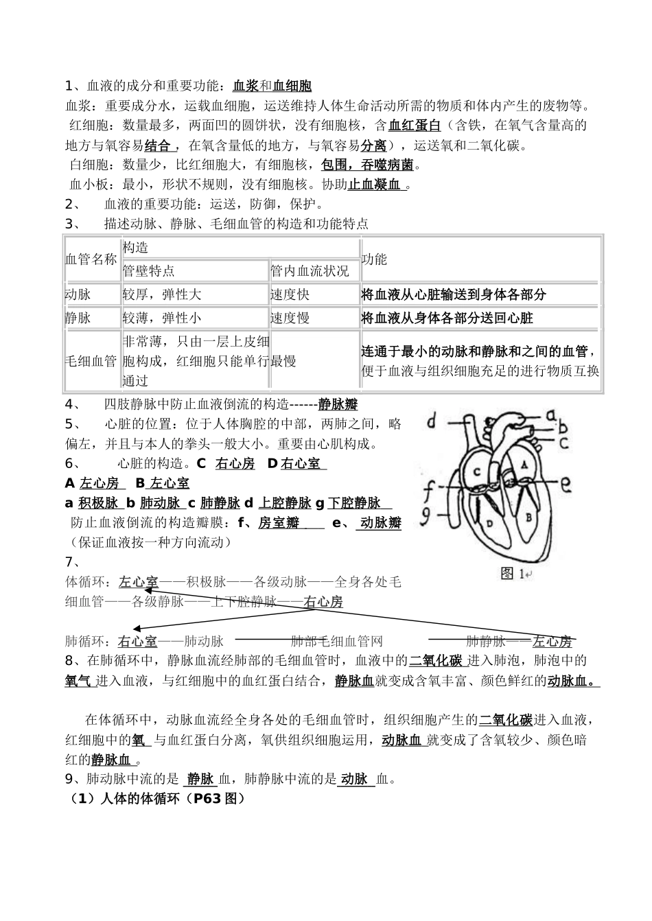 2025年七年级生物下册知识点整理版复习课程_第3页
