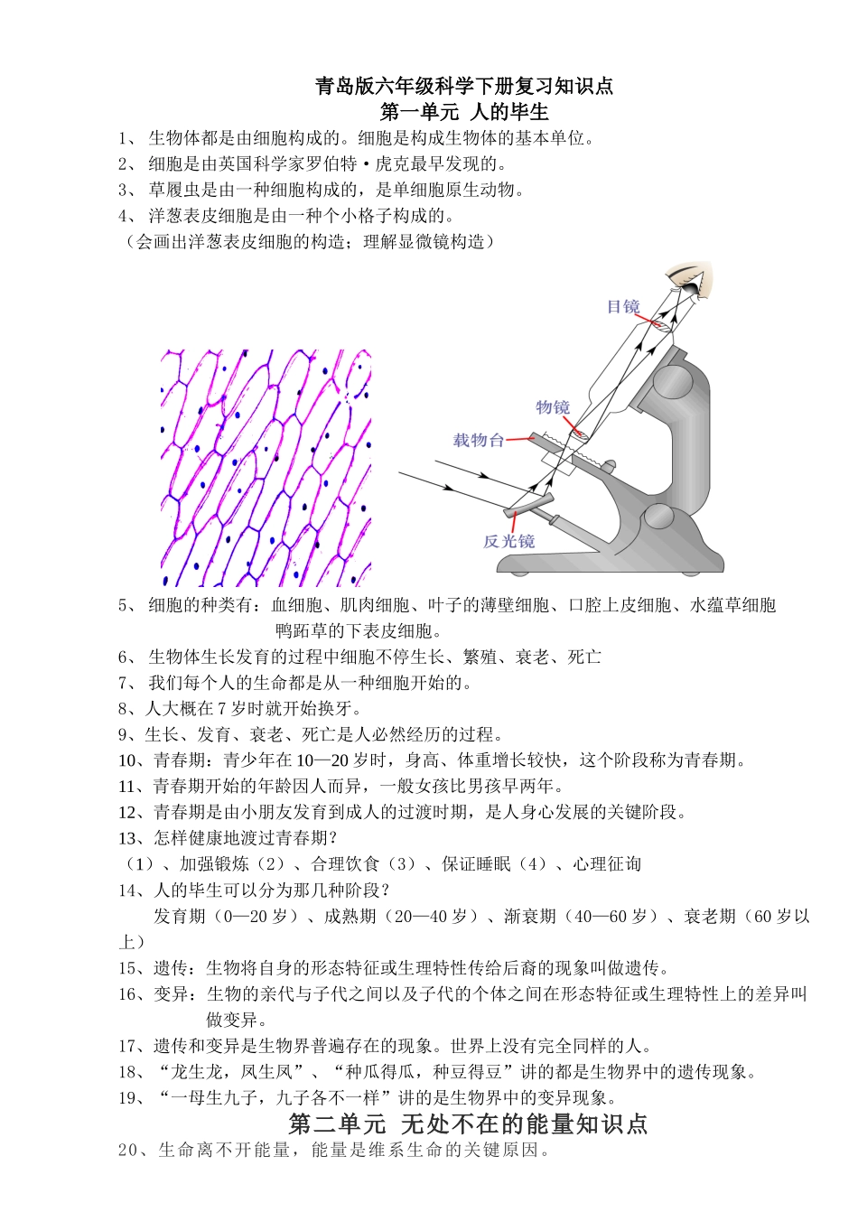 2025年青岛版六年级下册科学知识点总结_第1页