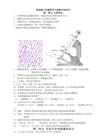 2025年青岛版六年级下册科学知识点总结