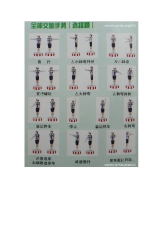 2025年驾照理论考试科目一秘笈