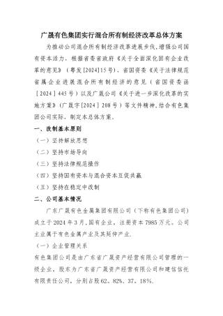 有色集团实行混合所有制经济改革总体方案10-14