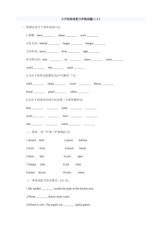 2025年小升初英语复习冲刺试题二十无答案