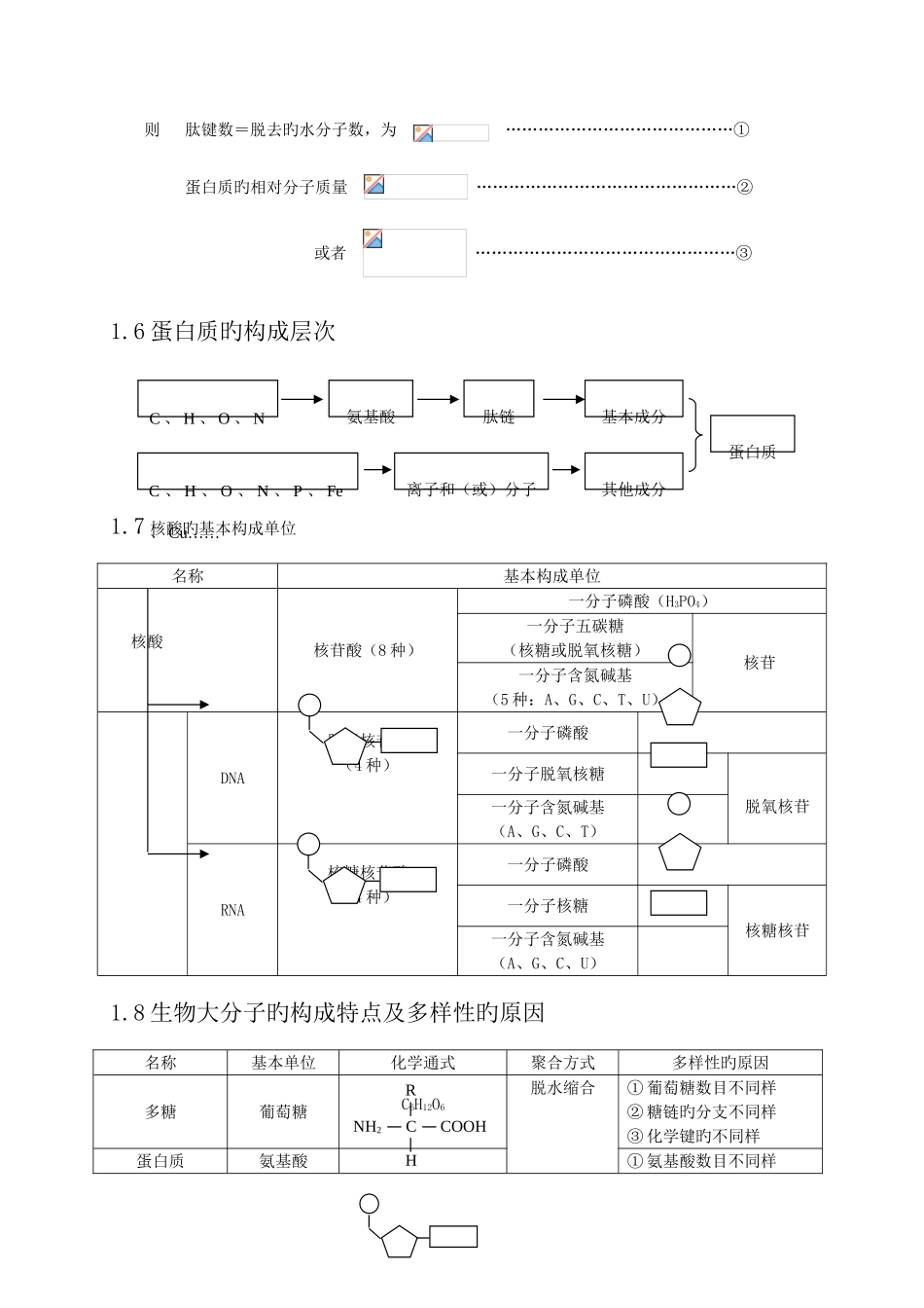 2025年高中生物知识点总结最全_第3页