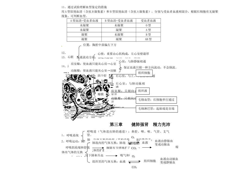 2025年七年级生物下册知识点冀教版_第3页