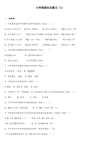 2025年小升初语文知识专项训练总复习