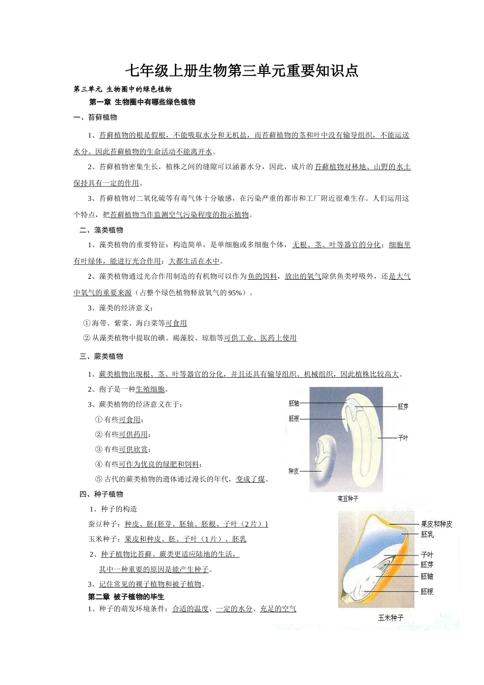 2025年七年级上册生物第三单元重要知识点讲课讲稿_第1页