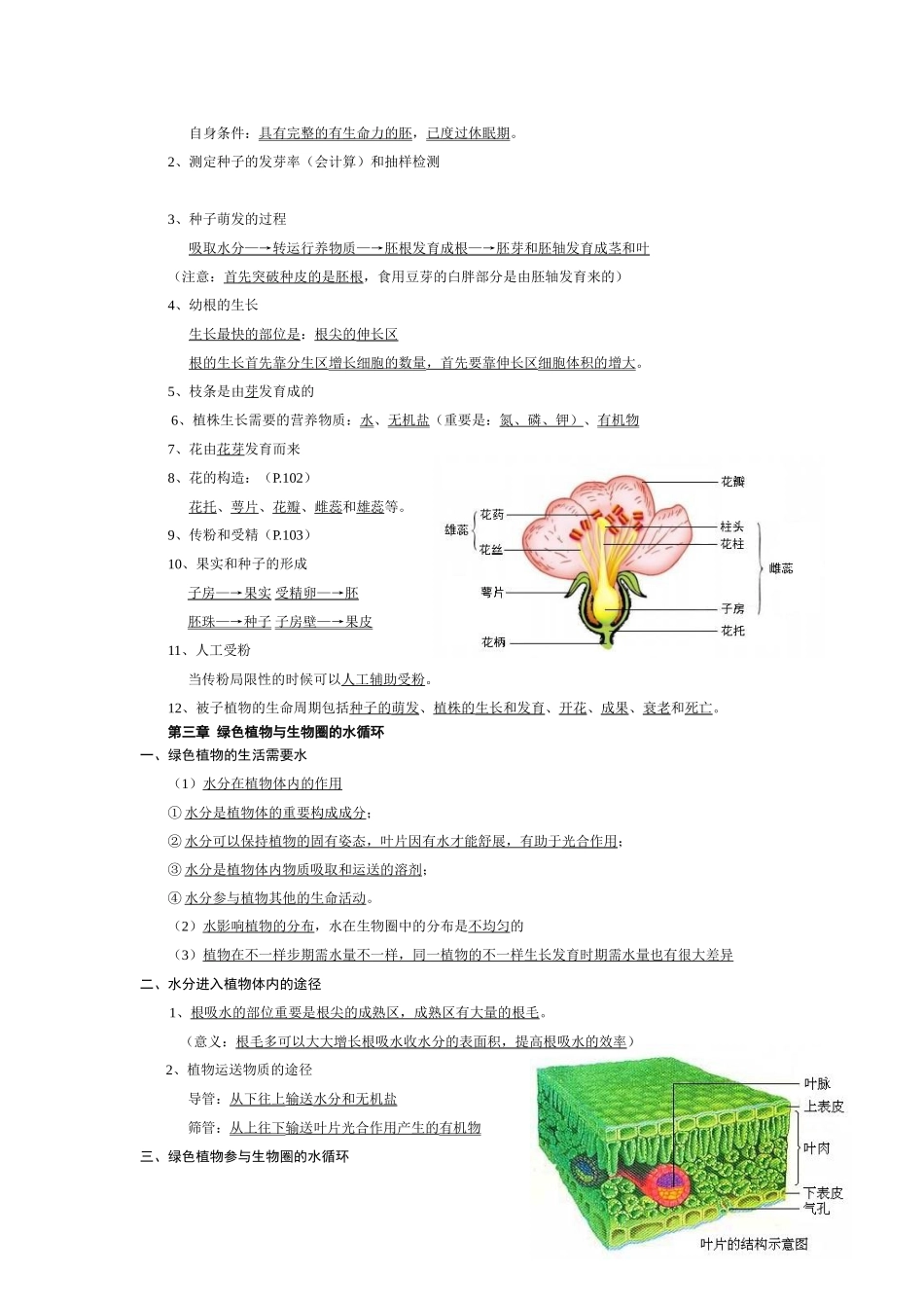 2025年七年级上册生物第三单元重要知识点讲课讲稿_第2页