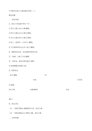 2025年小升初数学总复习专题讲解及训练数学