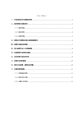 2025年黑龙江省注册会计师行业发展规划