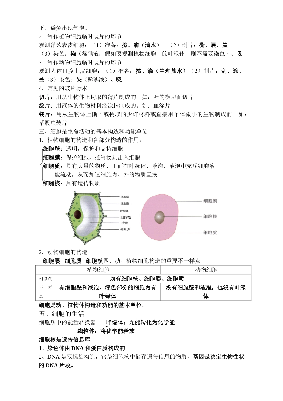 2025年人教版初中生物知识点汇总复习进程_第3页