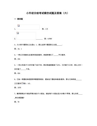 2025年小升初分班考试模拟试题及答案六