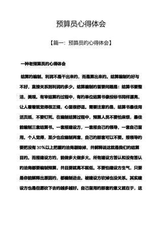 2025年预算员心得体会