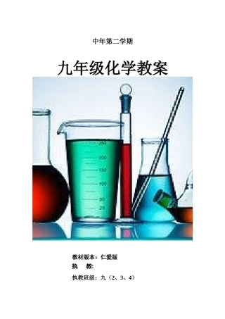 2025年九年级下册化学教学案全册