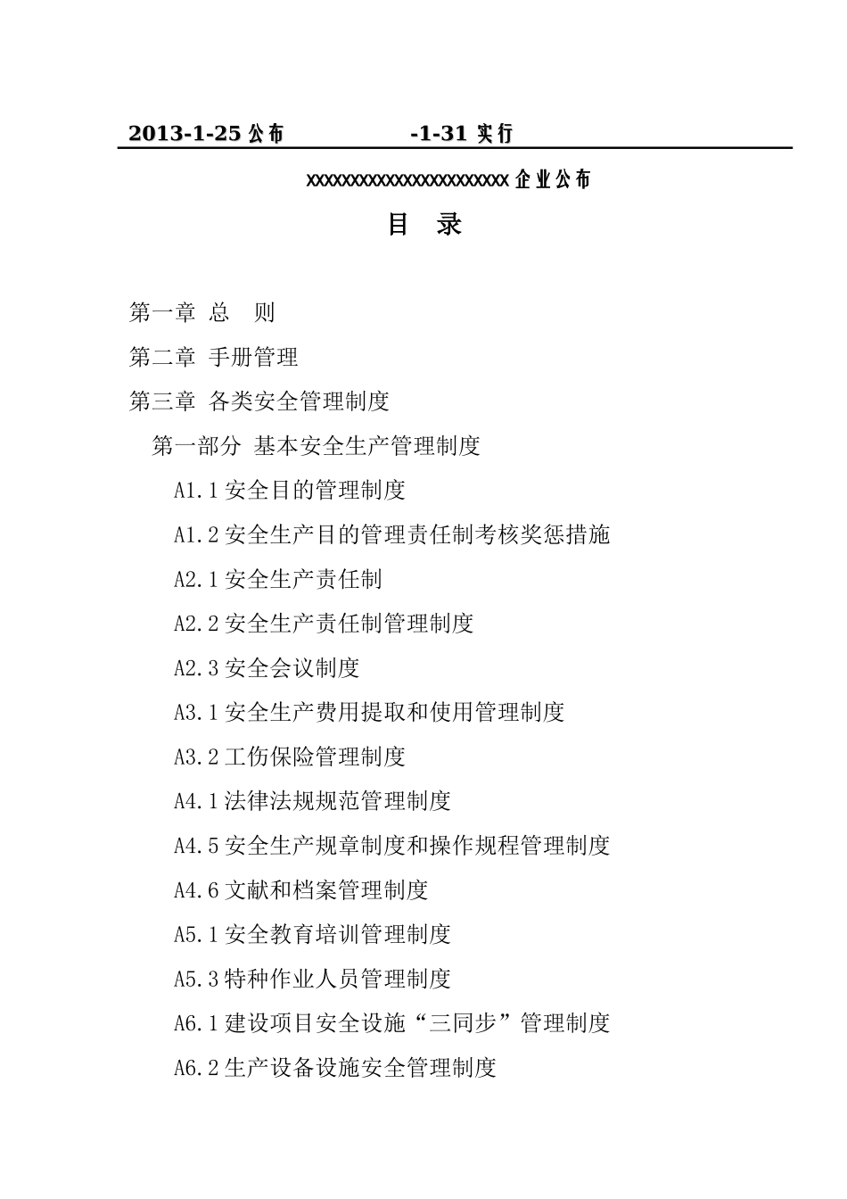 2025年安全生产标准化管理手册全套制度规范工作范文_第2页